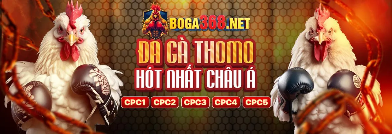 Đội ngũ hỗ trợ khách hàng chuyên nghiệp của S66