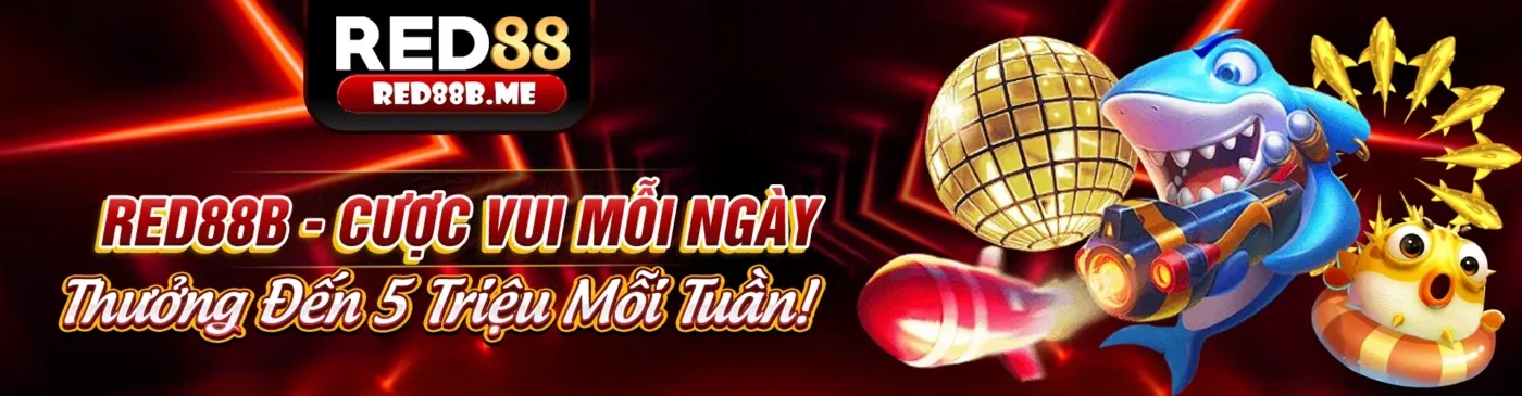 Giao diện ứng dụng S66 link mới trên điện thoại