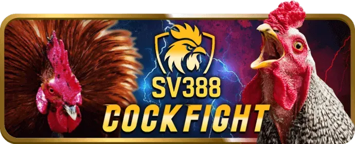 Mẹo cá cược S66