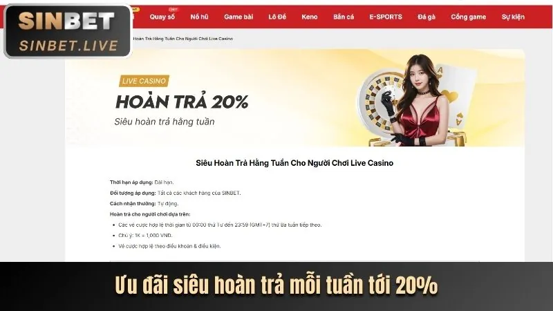 Hình ảnh trang web có thiết kế kém chất lượng và lỗi